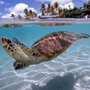 Quel miracolo chiamato&nbsp;Natura